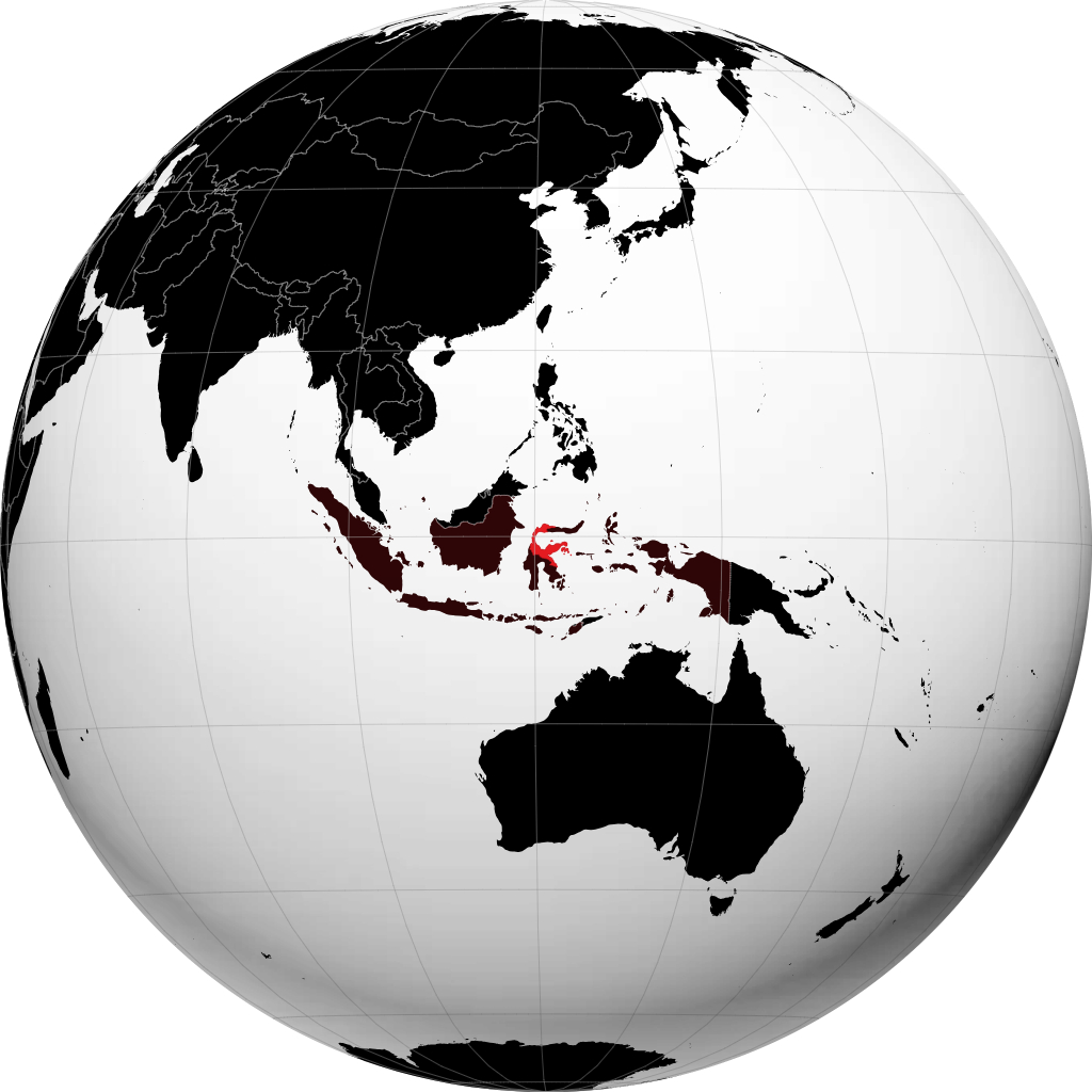 Tỉnh Trung Sulawesi trên quả địa cầu